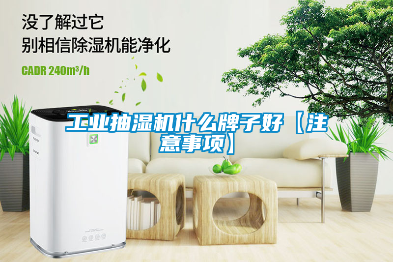 工業(yè)抽濕機(jī)什么牌子好【注意事項】
