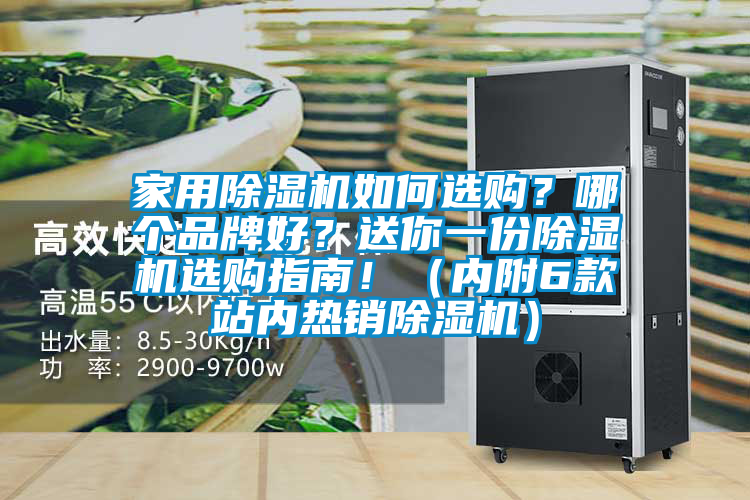家用除濕機(jī)如何選購？哪個品牌好？送你一份除濕機(jī)選購指南?。▋?nèi)附6款站內(nèi)熱銷除濕機(jī)）
