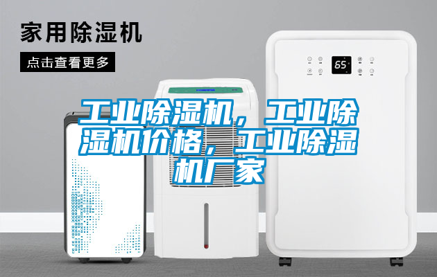 工業(yè)除濕機，工業(yè)除濕機價格，工業(yè)除濕機廠家