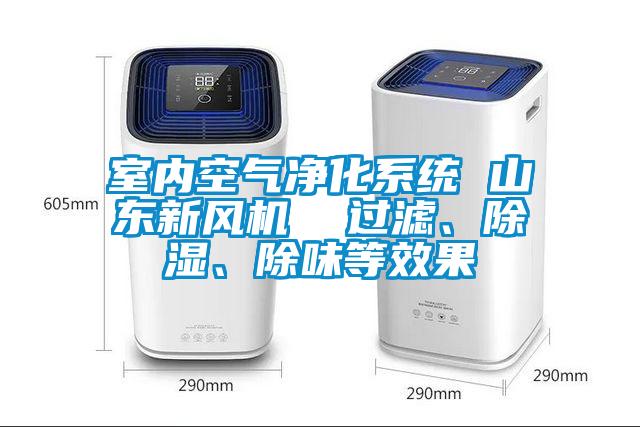 室內(nèi)空氣凈化系統(tǒng) 山東新風(fēng)機(jī)  過(guò)濾、除濕、除味等效果