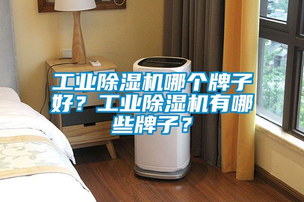 工業(yè)除濕機哪個牌子好？工業(yè)除濕機有哪些牌子？
