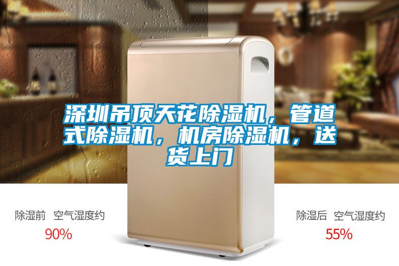 深圳吊頂天花除濕機(jī)，管道式除濕機(jī)，機(jī)房除濕機(jī)，送貨上門