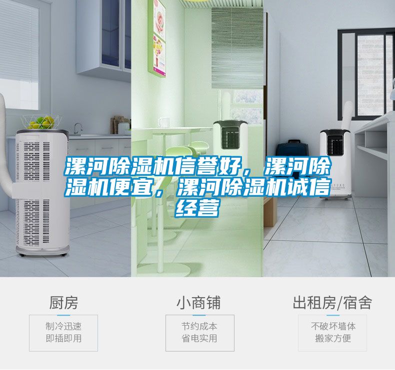 漯河除濕機(jī)信譽(yù)好，漯河除濕機(jī)便宜，漯河除濕機(jī)誠信經(jīng)營