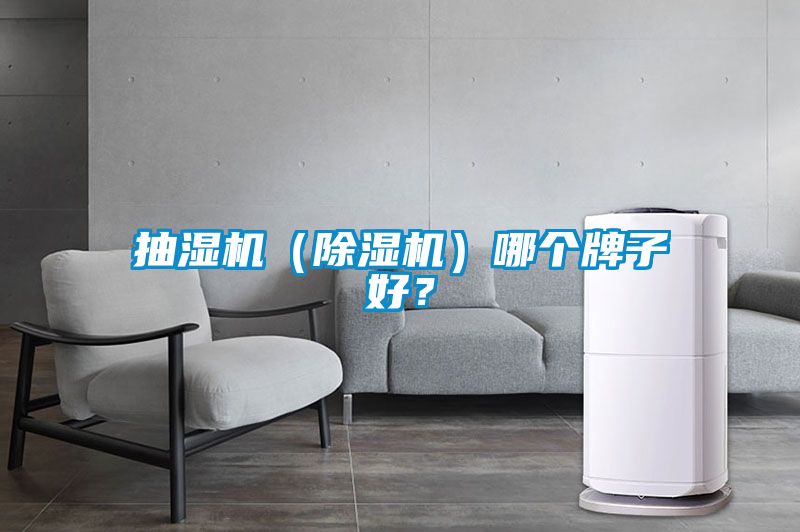 抽濕機(jī)（除濕機(jī)）哪個(gè)牌子好？