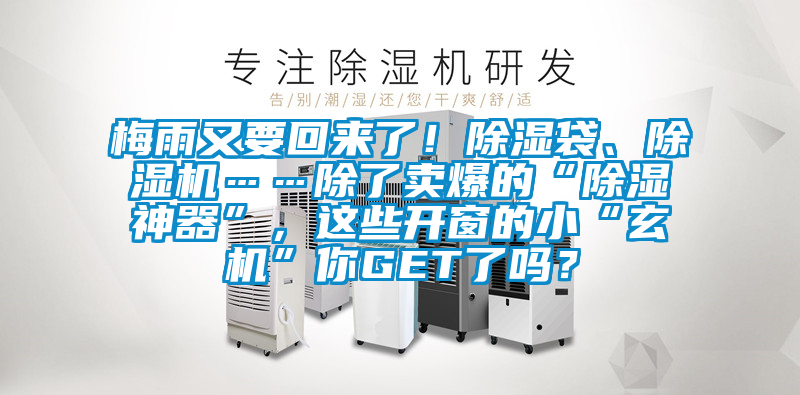 梅雨又要回來了！除濕袋、除濕機……除了賣爆的“除濕神器”，這些開窗的小“玄機”你GET了嗎？