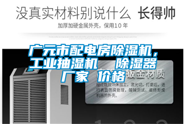 廣元市配電房除濕機(jī)，工業(yè)抽濕機(jī)  除濕器廠家 價(jià)格