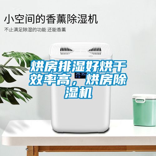 烘房排濕好烘干效率高，烘房除濕機(jī)