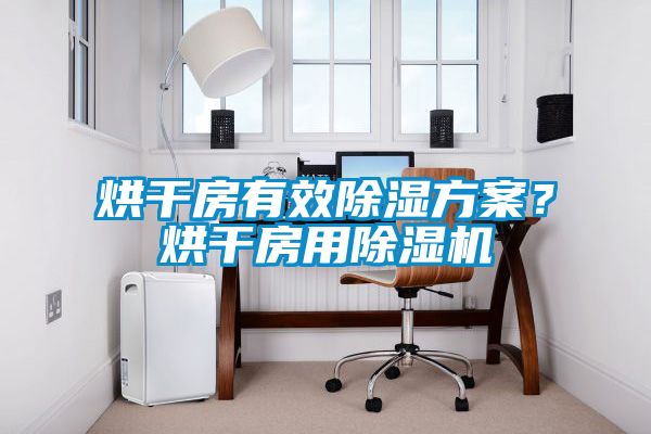烘干房有效除濕方案？烘干房用除濕機(jī)