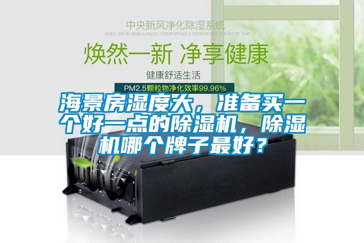 海景房濕度大，準(zhǔn)備買一個(gè)好一點(diǎn)的除濕機(jī)，除濕機(jī)哪個(gè)牌子最好？