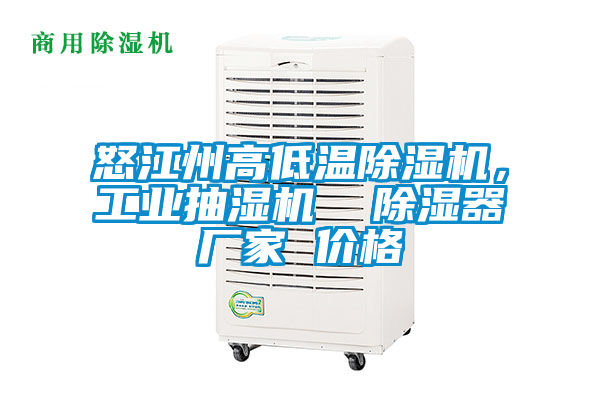 怒江州高低溫除濕機(jī)，工業(yè)抽濕機(jī)  除濕器廠家 價格