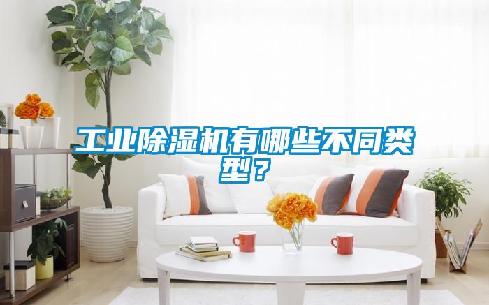 工業(yè)除濕機有哪些不同類型？