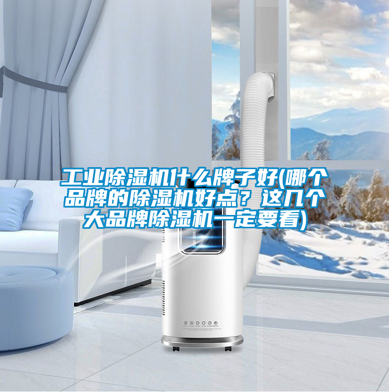 工業(yè)除濕機什么牌子好(哪個品牌的除濕機好點？這幾個大品牌除濕機一定要看)