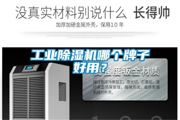 工業(yè)除濕機哪個牌子好用？