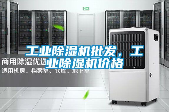 工業(yè)除濕機批發(fā)，工業(yè)除濕機價格
