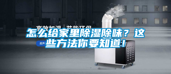 怎么給家里除濕除味？這些方法你要知道！