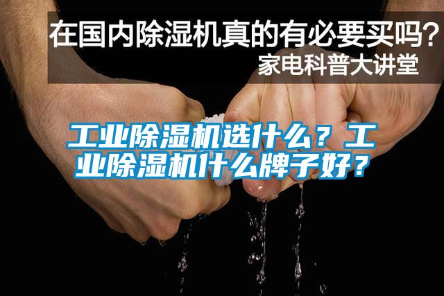 工業(yè)除濕機(jī)選什么？工業(yè)除濕機(jī)什么牌子好？