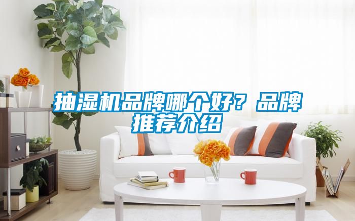 抽濕機品牌哪個好？品牌推薦介紹