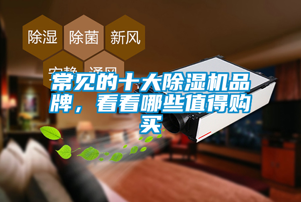 常見的十大除濕機(jī)品牌，看看哪些值得購(gòu)買