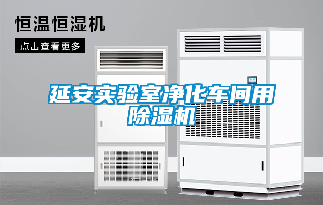 延安實(shí)驗室凈化車間用除濕機(jī)
