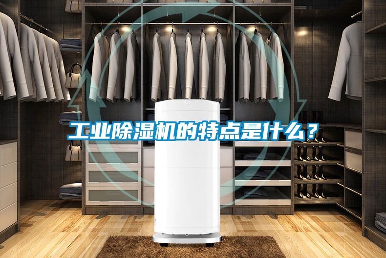 工業(yè)除濕機(jī)的特點(diǎn)是什么？