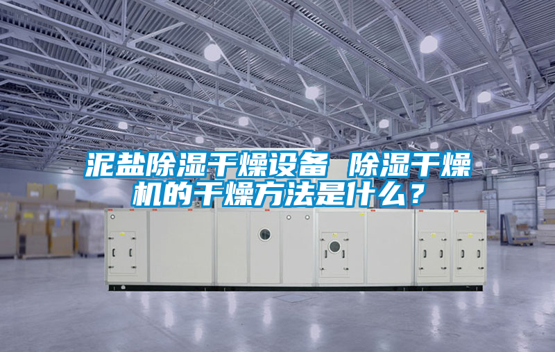 泥鹽除濕干燥設(shè)備 除濕干燥機的干燥方法是什么？