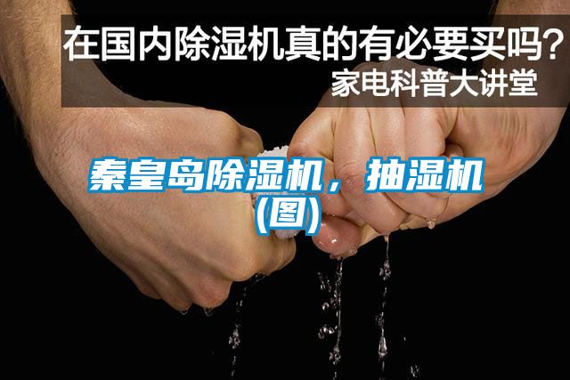 秦皇島除濕機(jī)，抽濕機(jī)(圖)