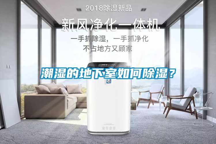 潮濕的地下室如何除濕？