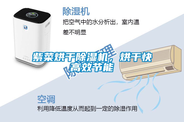 紫菜烘干除濕機(jī)，烘干快高效節(jié)能