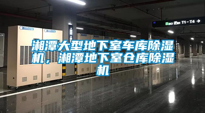 湘潭大型地下室車庫除濕機，湘潭地下室倉庫除濕機