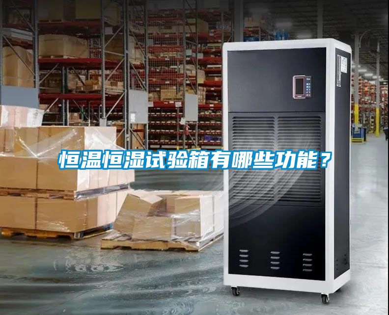恒溫恒濕試驗(yàn)箱有哪些功能？