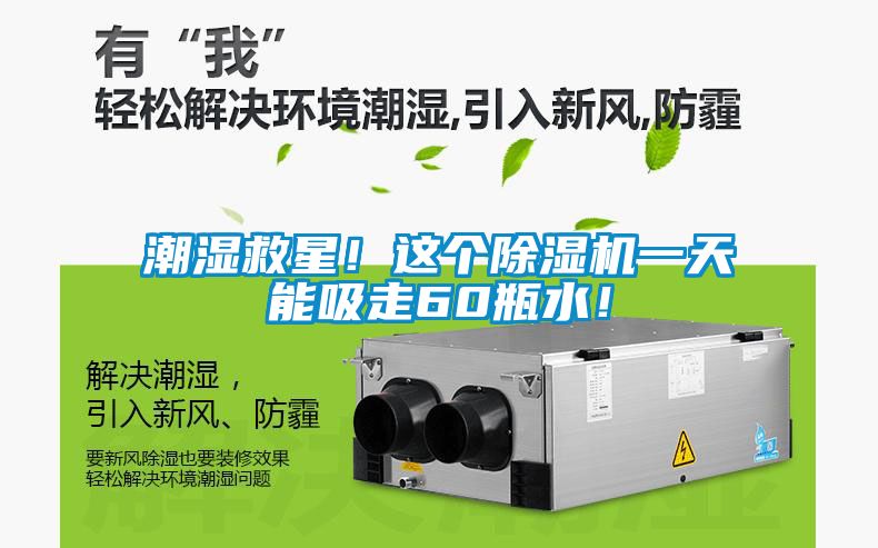 潮濕救星！這個除濕機一天能吸走60瓶水！