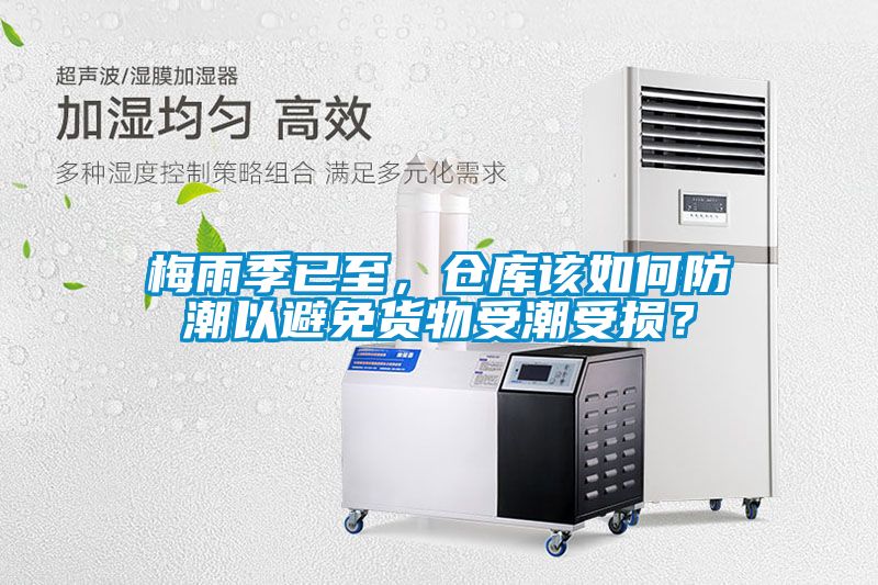 梅雨季已至，倉庫該如何防潮以避免貨物受潮受損？