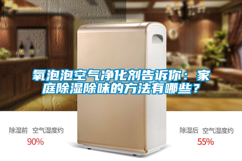 氧泡泡空氣凈化劑告訴你：家庭除濕除味的方法有哪些？