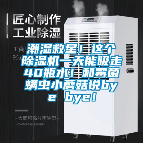 潮濕救星！這個(gè)除濕機(jī)一天能吸走40瓶水！和霉菌螨蟲小蘑菇說bye bye！