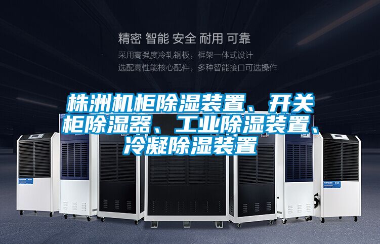株洲機(jī)柜除濕裝置、開關(guān)柜除濕器、工業(yè)除濕裝置、冷凝除濕裝置