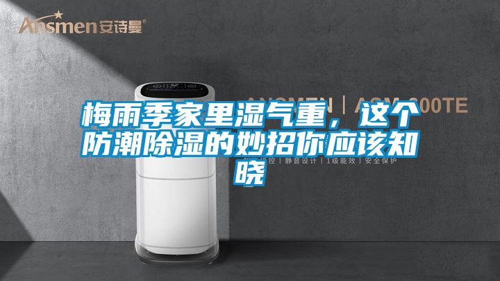 梅雨季家里濕氣重，這個防潮除濕的妙招你應(yīng)該知曉