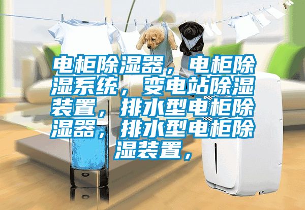 電柜除濕器，電柜除濕系統(tǒng)，變電站除濕裝置，排水型電柜除濕器，排水型電柜除濕裝置，