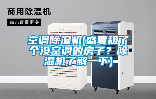 空調(diào)除濕機(jī)(盛夏租了個(gè)沒(méi)空調(diào)的房子？除濕機(jī)了解一下)