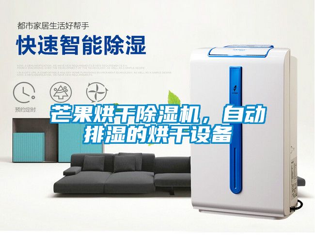 芒果烘干除濕機，自動排濕的烘干設備