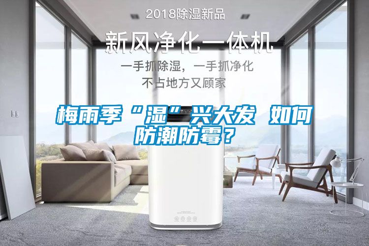 梅雨季“濕”興大發(fā) 如何防潮防霉？