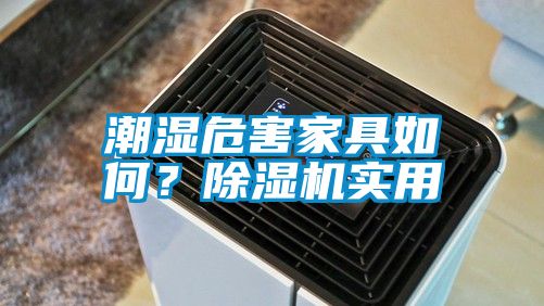 潮濕危害家具如何？除濕機實用