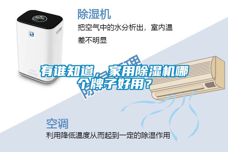 有誰(shuí)知道，家用除濕機(jī)哪個(gè)牌子好用？
