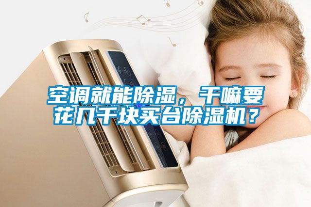 空調(diào)就能除濕，干嘛要花幾千塊買臺除濕機？