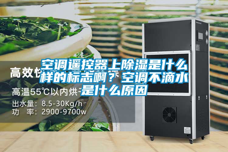 空調(diào)遙控器上除濕是什么樣的標(biāo)志啊？空調(diào)不滴水是什么原因