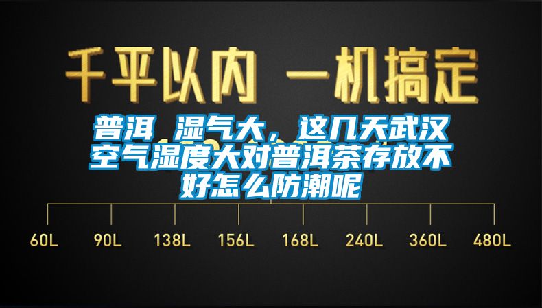 普洱 濕氣大，這幾天武漢空氣濕度大對普洱茶存放不好怎么防潮呢
