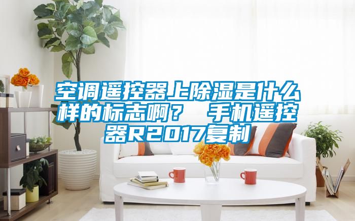空調(diào)遙控器上除濕是什么樣的標(biāo)志?。?手機遙控器R2017復(fù)制