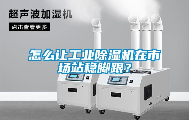 怎么讓工業(yè)除濕機(jī)在市場(chǎng)站穩(wěn)腳跟？
