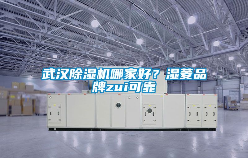 武漢除濕機(jī)哪家好？濕菱品牌zui可靠