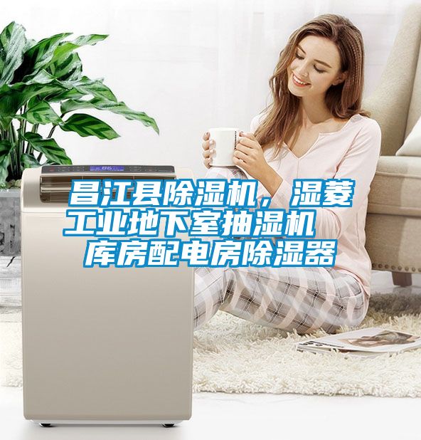 昌江縣除濕機(jī)，濕菱工業(yè)地下室抽濕機(jī)  庫(kù)房配電房除濕器