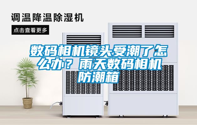 數(shù)碼相機(jī)鏡頭受潮了怎么辦？雨天數(shù)碼相機(jī)防潮箱